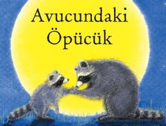 Avucundaki Öpücük Kitap PDF Oku