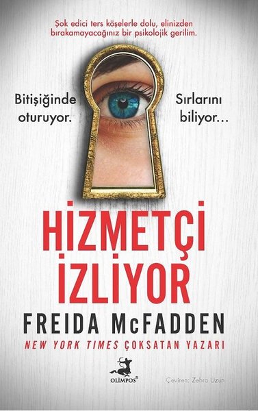 Hizmetçi İzliyor PDF ücretsiz Kitap İndir